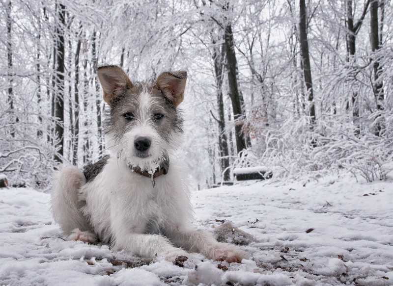 Felix D35_4124 als Smart-Objekt-1 Kopie.jpg